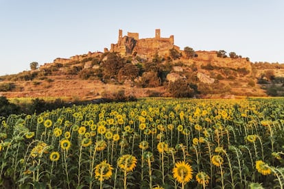 Esta pequeña villa soriana donde parece haberse detenido el tiempo se alza en la cima de una roca que domina la vega del río Abión. Sus sencillas casas con entramados de madera de sabina, paredes encestadas entretejidas con ramas y cubiertas de adobe le confieren un aire inequívocamente medieval. En Calatañazor Orson Welles rodó también escenas de su película 'Campanadas a medianoche'. Cerca, en la sierra de Cabrejas, se encuentra La Fuentona, una profunda surgencia donde nace el río Abión. Más información: <a href="http://www.calatanazor.es/" target="_blank">calatanazor.es</a>