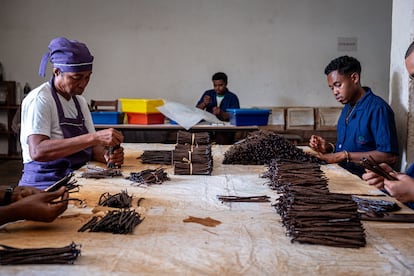 Los trabajadores inspeccionan y seleccionan vainilla en Spice Aroma, una empresa de vainilla con sede en Sambava, el 26 de mayo de 2025.