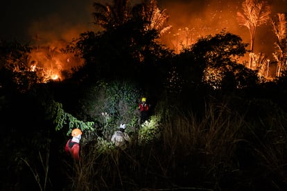 Bomberos trabajan para contener un incendio en una zona verde este jueves, en la ciudad de Manaos, Amazonas (Brasil). 