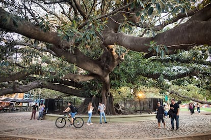 Escena en el barrio de Recoleta de Buenos Aires.