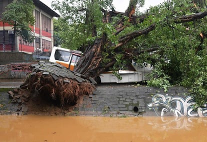 El fuerte aguacero que cae sobre Río de Janeiro desde la madrugada de este martes ha dejado al menos tres muertos y una persona más desaparecida. En la imagen, un autobús aplastado por un árbol caído en un área inundada.