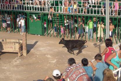 Espectáculo de 'correbou' en l'Ampolla en las Fiestas del Carme de 2005.