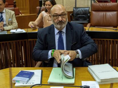 El portavoz de Vox en Andalucía, Alejandro Hernández, el miércoles en el Parlamento andaluz en Sevilla.  