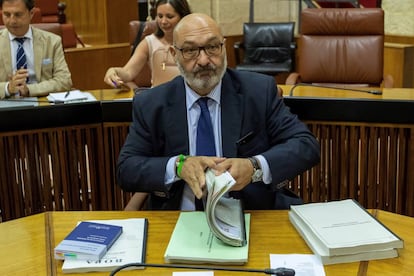 El portavoz de Vox en Andalucía, Alejandro Hernández, el miércoles en el Parlamento andaluz en Sevilla.