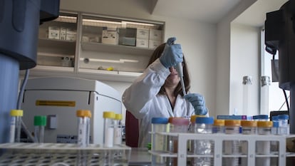 Una investigadora lleva a cabo pruebas genéticas animales en el laboratorio del Servicio Regional de Investigación y Desarrollo Agroalimentario de Asturias, en Gijón.