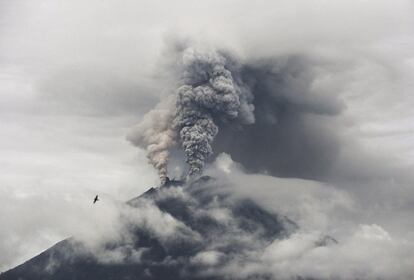 El monte Sinabung suelta material volcánico en el norte de Sumatra  (Indonesia). 