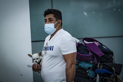 Al menos 227 sobrecargos y pilotos de las empresas Aeromar, Aeroméxico y Aeroméxico Connect se encuentran en aislamiento ya que dieron positivo al virus.