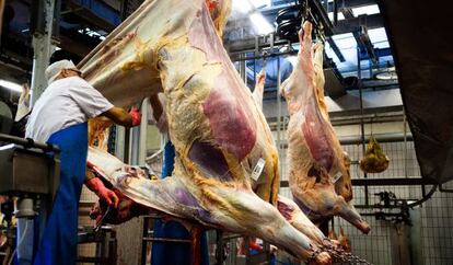 Un carnicero desuella una vaca en un matadero dan&eacute;s. 