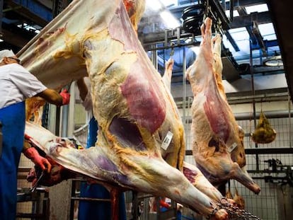 Un carnicero desuella una vaca en un matadero dan&eacute;s. 