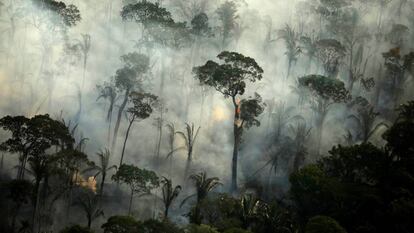 Incendios forestales en América