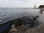 09-07-20 Alfonso Durán. Murcia Mar Menor. Detalle de la orilla en la playa donde mas barro se acumuló tras la Dana, en Los Alcázares.