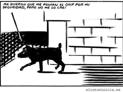 EL ROTO