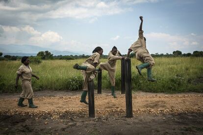 Virunga es el parque nacional más antiguo de África y el hogar de más de 200 de los 800 gorilas de montaña que quedan en el mundo, en la República Democrática del Congo. Desde hace 20 años está en el centro de una guerra entre milicias armadas que pretenden explotar los recursos naturales del parque, y soldados que defienden con valor el territorio. 14 mujeres trabajan allí como guardas, entrenando militarmente para un trabajo extremadamente peligroso que ya ha se ha cobrado la muerte de más de 150 guardas.