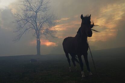  Uno de los incendios forestales originado en los montes próximos a la localidad cántabra de Viernoles. 