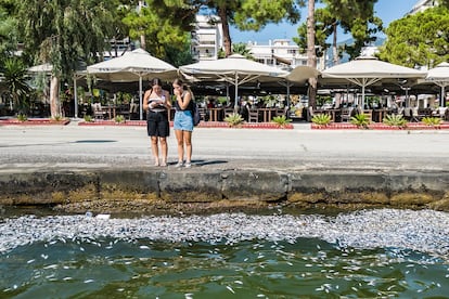 Two girls look at dead fish floating in the sea on Tuesday in the port of Volos, Thessaly, Greece.