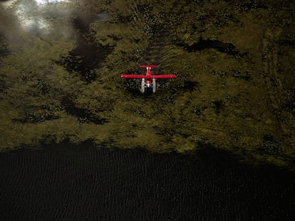 Una avioneta-taxi atraviesa el alga en un lago del sur de Alaska.
