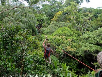 Andando por las ramas