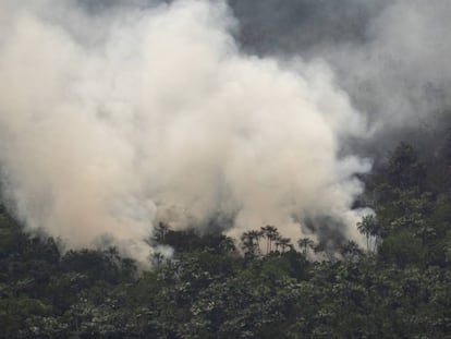 Un fuego en la región de Porto Velho.