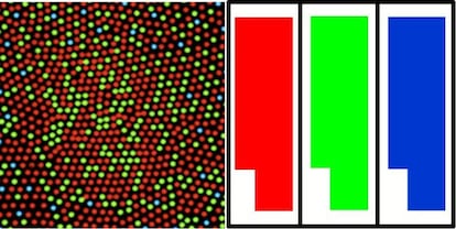 Ejemplo a escala de los tamaños de los fotorreceptores en la retina y los pixels de la pantalla.