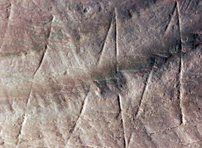 Parte del grabado hallado en una concha del yacimiento de Trinil (Indonesia).