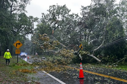 Un trabajador evaluaba este miércoles los daños eléctricos que ha provocado la caída de un árbol en una carretera de Tallahassee, en Florida.