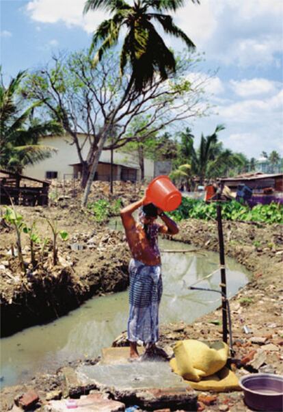 Localidad de pescadores donde nadie quiere comer pescado: se ignora de qué se habrán alimentado.