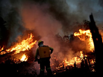 Un bombero del Instituto Brasileño para el Medio Ambiente y los Recursos Naturales Renovables, frente a en la selva amazónica de Apui, Estado de Amazonas (Brasil), el 11 de agosto de 2020.