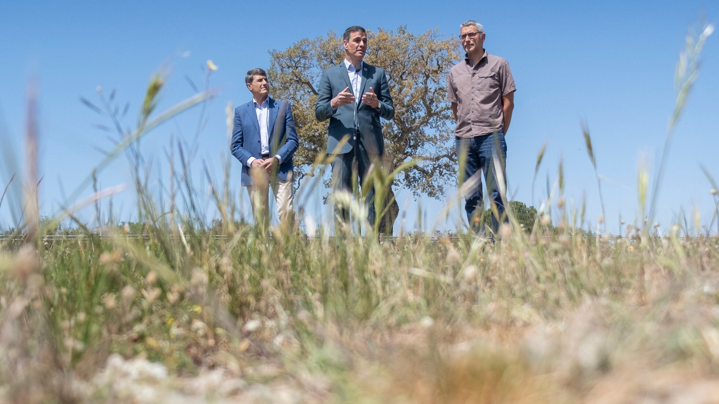 Pedro Sánchez, entre el delegado del Gobierno en Andalucía Pedro Fernández, y el director de la Estación Biológica de Doñana, Eloy Revilla.