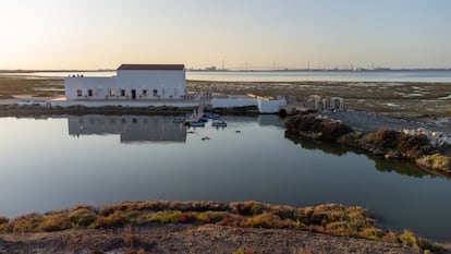 Marambay es un nuevo proyecto empresarial que ha permitido recuperar una de las muchas salinas abandonadas en la bahía de Cádiz.