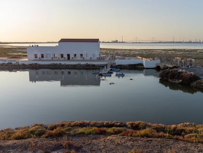 Marambay es un nuevo proyecto empresarial que ha permitido recuperar una de las muchas salinas abandonadas en la bahía de Cádiz.