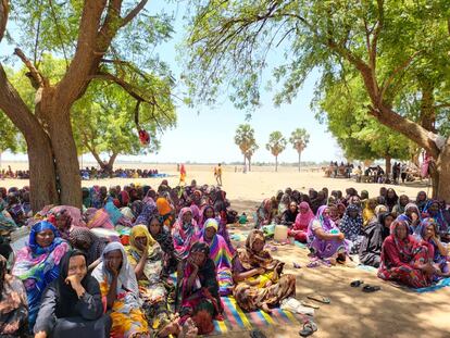 Cientos de mujeres y niños, procedentes de Sudán, acampan bajo los árboles en Am-Dafock, en República Centroafricana, a la espera de ayuda humanitaria.