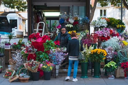 Flores y plantas