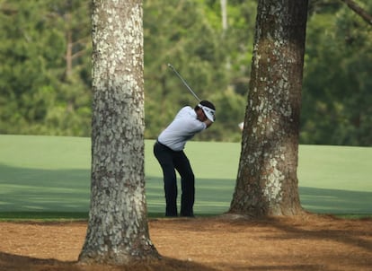 Bubba Watson golpea entre los árboles.