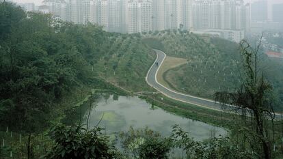 En la región china de Chongqing, el desarrollo económico ha dado paso a un proceso imparable de urbanización que arrincona la naturaleza.