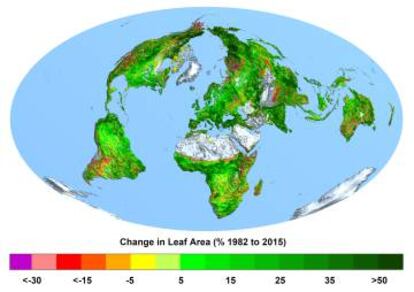 Mapa que muestra el cambio de vegetación.