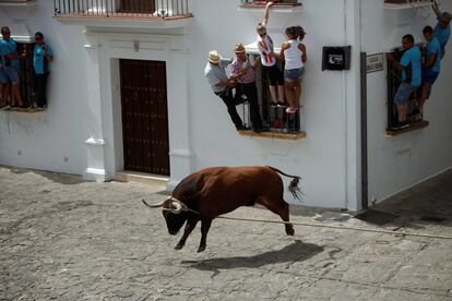 Varias personas de suben a las ventanas para evitar al toro, de nombre Trompetero, durante la fiesta del 'Toro de Cuerda' que se celebra en Grazalema (España)