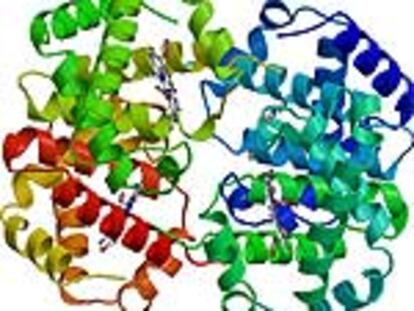 Representación tridimensional de la estructura de la hemoglobina.