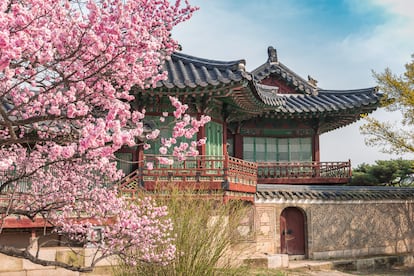 Primavera en el palacio Changdeokgung de Seúl.