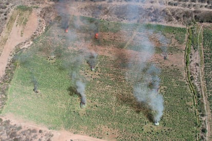 Vista aérea de la quema controlada del plantío de amapola en Mocorito. 
