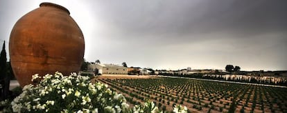 Viñedos de Casa Sicilia 1707 con las bodegas al fondo.