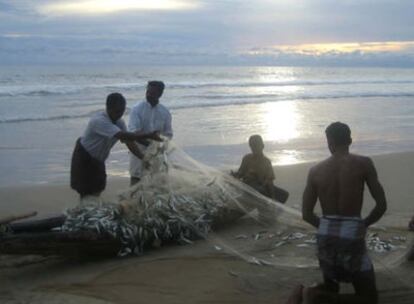 Un grupo de pescadores recoge las redes después de una jornada de pesca en Varkala (Kerala, India)