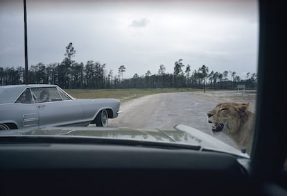 "Empecé a entender que la ventanilla del coche era el marco, y de alguna manera el mismo coche era la cámara conmigo dentro", explicaba Meyerowitz sobre su concepción de la fotografía en la carretera.