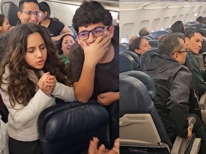 Momentos de la búsqueda del hámster en el vuelo de Latam del 24 de julio 2025.
