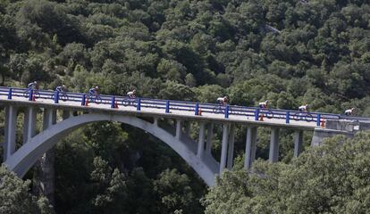 El pelot&oacute;n, durante la 16&ordf; etapa.