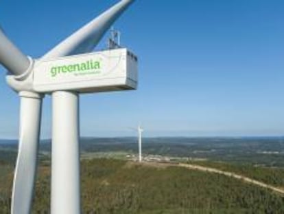 Los máximos accionistas de Greenalia lanzan una opa de exclusión sobre la compañía