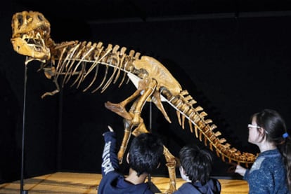 Imagen de uno de los fósiles de tarbosaurio que se exhibe en la exposición de dinosaurios de Mongolia en CosmoCaixa.