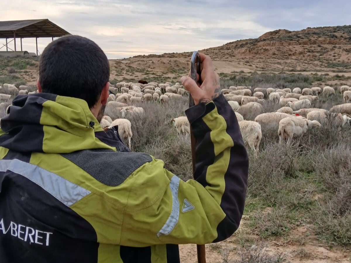 Eloy Chaguaceda con un rebaño de ovejas en Binéfar (Aragón), en una imagen cedida por él.