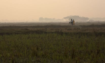 Casal passeia de bicicleta por campos de arroz ao amanhecer em Dala (Mianmar).