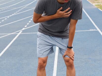 Evitar los factores de riesgo, llevar una vida cardiosaludable y, si se necesita, cumplir con la medicación prescrita son las tres reglas de oro para conservar (o recuperar) la salud de las arterias.