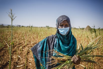 Las mujeres han sufrido desproporcionadamente el impacto de la pandemia.